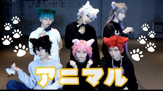 【ヒプマイ】一番手6人でアニマル踊ってみた【コスプレ】 [upl. by Brady]