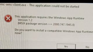 Fix Error mcwnsclientexe This Application Could Not Be Started On Windows 1110 [upl. by Adarbil]