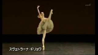 Don Quixote ABT 1983 Mikhail Baryshnikov Basilo Variation Act3 [upl. by Cristen360]