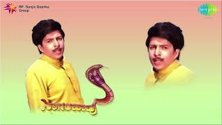 Haavina Dwesha Audio Song  Naagarahaavu  Vishnuvardhan  Vijaya Bhaskar  SP Balasubramaniam [upl. by Einaffets42]