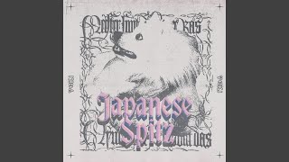 Japanese Spitz [upl. by Derrik]