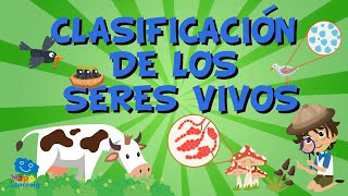 LA CLASIFICACIÓN DE LOS SERES VIVOS Vídeos Educativos para Niños [upl. by Rockey]