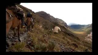 Reportaje al Perú Gran Pajatén el tesoro de los chachapoyas  cap 2 [upl. by Nakhsa111]