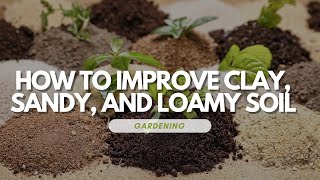 How to Make Loamy Soil [upl. by Weston210]