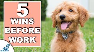 Your 10 Minute Morning Puppy Training Plan [upl. by Foscalina929]