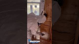 sprayfoaminsulation foam opencell usa contructionwork satisfyingvideo shorts viralshort [upl. by Ylak]