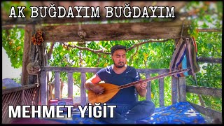 Mehmet YİĞİT Ak Buğdayım Buğdayım Official Klip 4K 2023 [upl. by Newob]