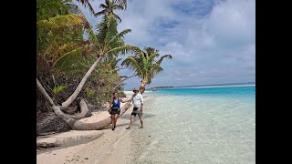 Aitutaki Cook Islands Port Excursion [upl. by Hsemar]