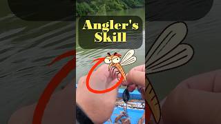 Angler’s Skill  Mosquito Terminator 猛蚊終結者 lurefishing tomanfishing 烏山頭水庫 多曼 [upl. by Hsinam452]