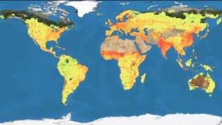 NASA  Human Consumption of NPP [upl. by Kovar]