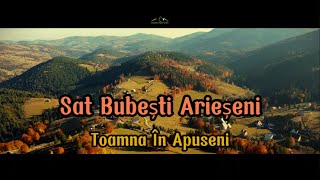 Arieseni ❌ Sat Bubești ❌ Toamna în APUSENI [upl. by Roeser]