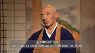 Sagesses Bouddhistes  Le 2ieme voeu du bodhisattva [upl. by Nylsoj569]