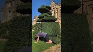 This guy cut the grass PT2 shorts youtubeshorts shortsfeed viralvideo viralshort [upl. by Henryk]