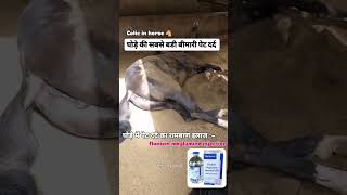 Meglumine injection use in hindi [upl. by Cherin509]