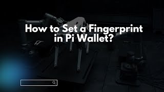 How to Set a Fingerprint in Pi Wallet [upl. by Bonnice541]