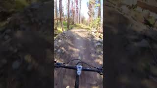 2024 Norco Optic on a jump line optic norco shorttravel [upl. by Arateehc]