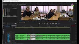 PluralEyes 4  многокамерный монтаж в Adobe Premiere [upl. by Tessa79]