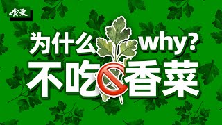 是谁第一个把香菜搬上了餐桌？你为什么不喜欢吃香菜？ [upl. by Studley]