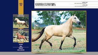 17 Karina Elfar 50 [upl. by Pate]