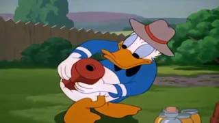 Bengali Kids Cartoon 2016 Bangla Stories For KidsMICKEY CHIP AND DALE amp DONALD DUCK CARTOONS [upl. by Hanonew]