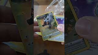 Stellar Crown Poochyena looks cute  pokemon pokemontcg pokemoncards silvertempest [upl. by Aedni133]