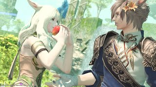 【FF14】初見さま歓迎！オーボンヌほかモグコレやルレほか気ままに【MeteorDC】 [upl. by Yspyg117]