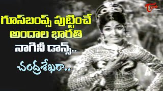 Bharti Goosebumps Nagini Dance Song  Chandra Sekhara Song  Akhandudu Movie  Old Telugu Songs [upl. by Angadreme]