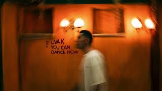 Liva K  You Can Dance Now MIDH 051 [upl. by Naginarb]