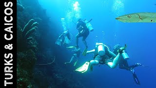 Providenciales Turks and Caicos  Part V  The Dive [upl. by Rumilly]