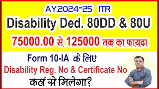 Tax benefit on Disability 80U amp 80DD us  How disability Deduction Claim in ITR AY 202425  ITR [upl. by Adrea87]