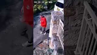 Weird Moments Caught on CCTV Camera 😱 shorts [upl. by Neel]