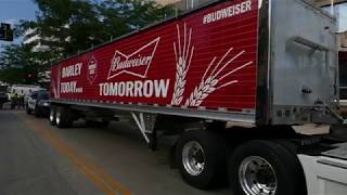 Barley Beer Budweiser [upl. by Fonseca]