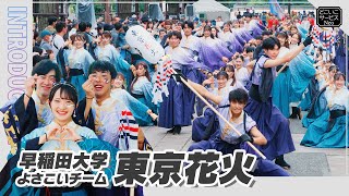 早稲田大学 東京花火『天つかさ』【第71回よさこい祭り参加チーム】よさこい 高知 どこいこサービス [upl. by Enylcaj382]