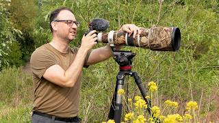 How to Photograph Warblers  Tips for Capturing the Sedge Warbler Canon R6 amp EF 500mm F4 Lens [upl. by Cerveny538]