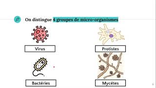 Les microorganismes 🦠 [upl. by Falzetta]