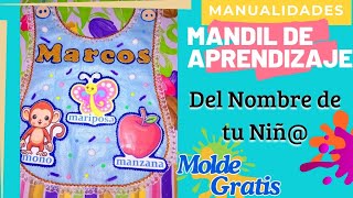 🎨MANDIL de APRENDIZAJE con NOMBRE e INICIAL elaborado en FIELTRO 🧵 MANDIL EDUCACION INICIALKINDER🎨 [upl. by Nirac]