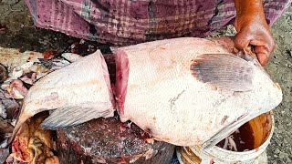 Hamour Fish Cutting Fantastic Skills  Expert Fish Cutter  Amazing Cutting Skills [upl. by Nyrmac]