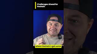 Challenges Ahead for Vechain [upl. by Enilrac484]