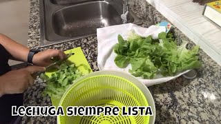 DOS MANERAS PARA CONSERVAR LA LECHUGA LISTA PARA CONSUMIR AL MOMENTO [upl. by Cicenia]