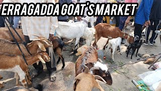 Erragadda Sunday Goats Market Hyderabad [upl. by Ellingston]