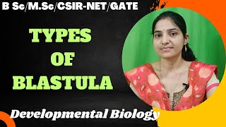 Types Of Blastula bc 3rd yearMSc Blastulation and Its Typesdevelopmentalbiology gnb [upl. by Sidonie]