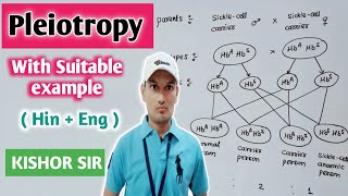 Pleiotropy  Definition  Cross  Example  Genetics  Bio  Class 12  Hindi  English Kishor Sir [upl. by Donaugh327]