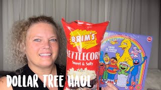 Dollar Tree Haul ❤️ Lots of New Finds  August 27 2024 [upl. by Checani]