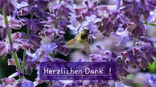 Herzlichen Dank [upl. by Ignatius]