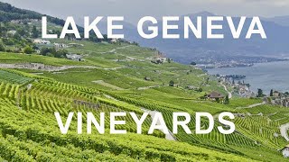 Lake Geneva Vineyards [upl. by Udelle]