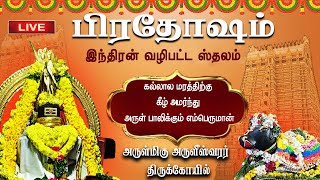 🔴Live Pradosham  பிரதோஷம் அருள்மிகு அருளீஸ்வரர் திருக்கோயில்  இந்திரன் வழிபட்ட ஸ்தலம் Abhishekam [upl. by Ferren]