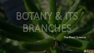 Branches of Botany  Botanical Science Sub branches [upl. by Denzil616]