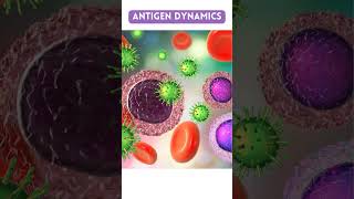 Antigen and Antibody  Healthy Track shorts how explore information [upl. by Ezana315]