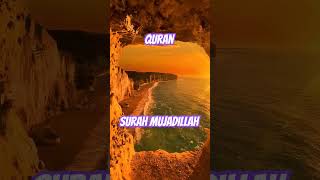 quranurdutranslation surahmujadilah islamicvideo jannatulfirdaus shortvideo trending ytshorts [upl. by Nagel]