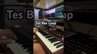 Tes bas loop keyboar tunggal rasa orkes korgpa1000 cover [upl. by Alamaj981]